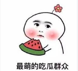 娱乐吃瓜酱不好意思,不好意思,这瓜太香了!