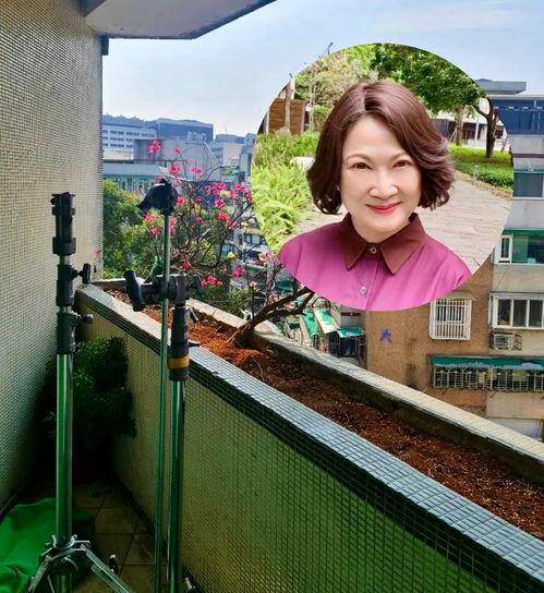 娱乐吃瓜头像女真人高清