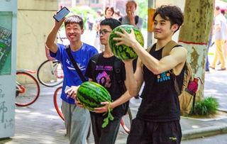 吃瓜娱乐学校,揭秘娱乐圈背后的秘密与趣味