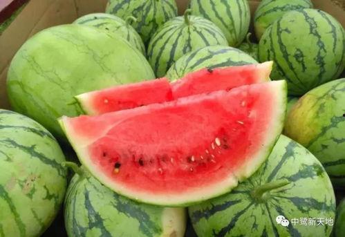 今日娱乐吃瓜小料,今日吃瓜小料大揭秘